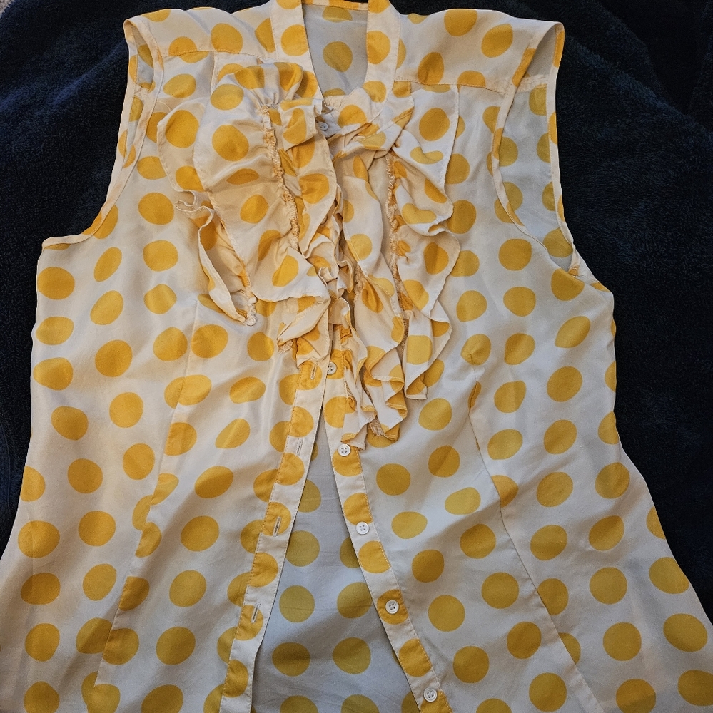 The Limited 100% silk sleeveless blouse